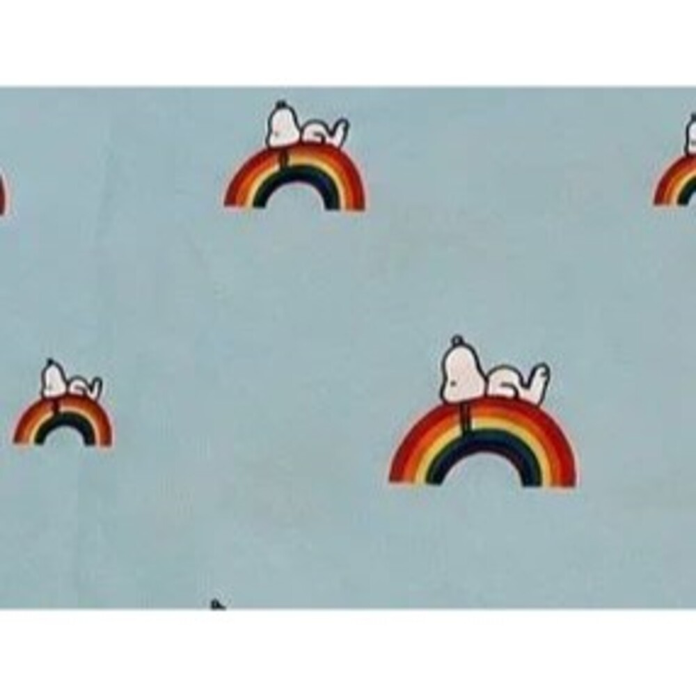 Peanuts Snoopy Rainbow Pillowcases Pair